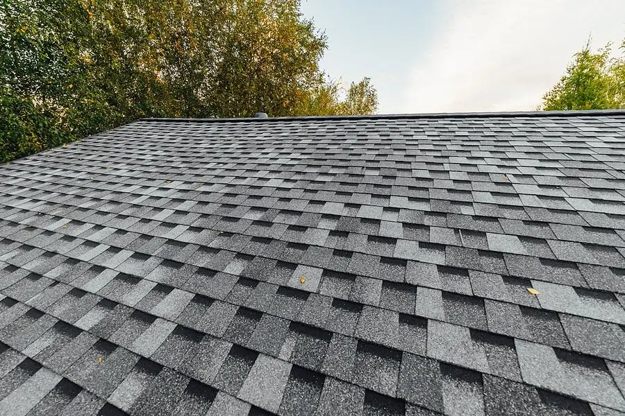Freshly installed architectural shingles in a tree-lined residential area, a clean job by Northland Roofing.