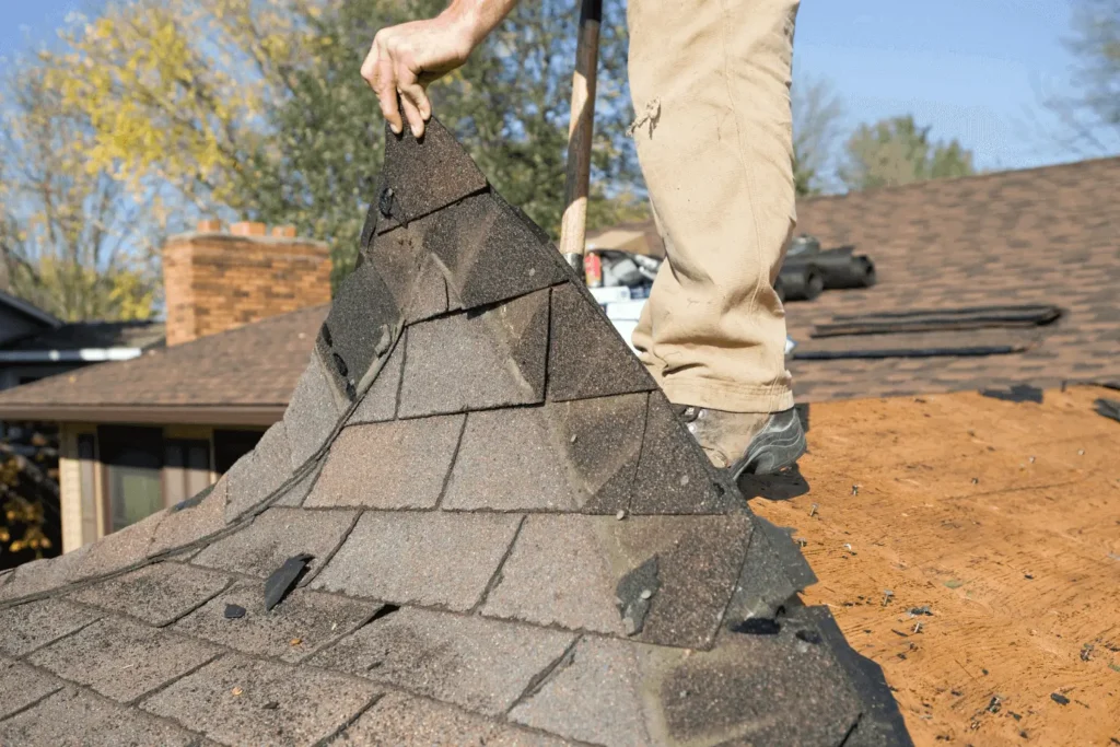 Old shingles being peeled back as part of Northland Roofing roof repairs on a residential roof.